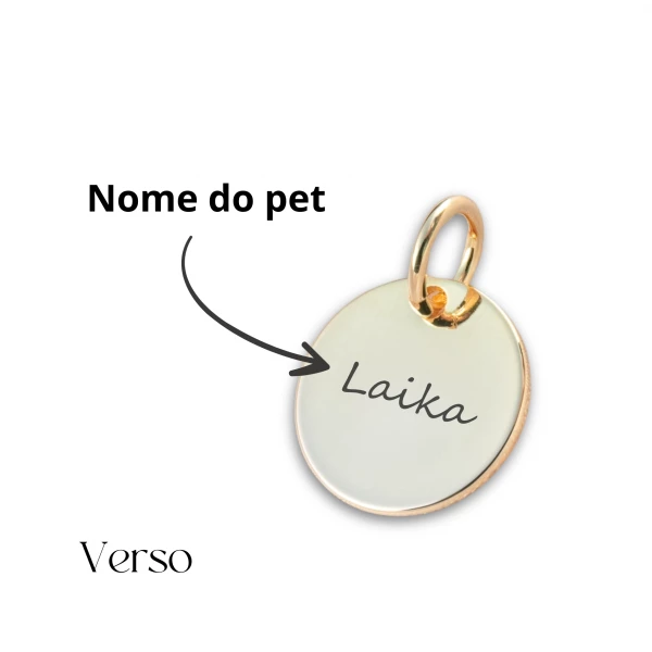 Pingente com PATINHA DO PET para pulseira - Redondo Dourado