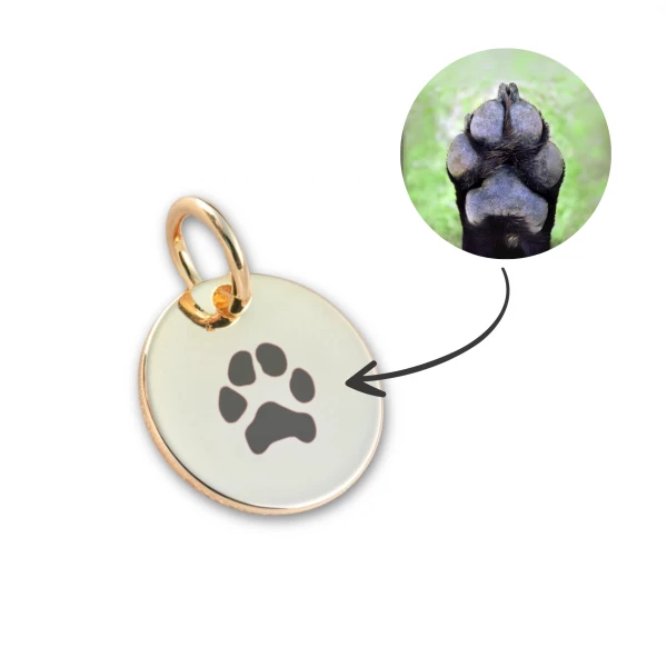 Pingente com PATINHA DO PET para pulseira - Redondo Dourado