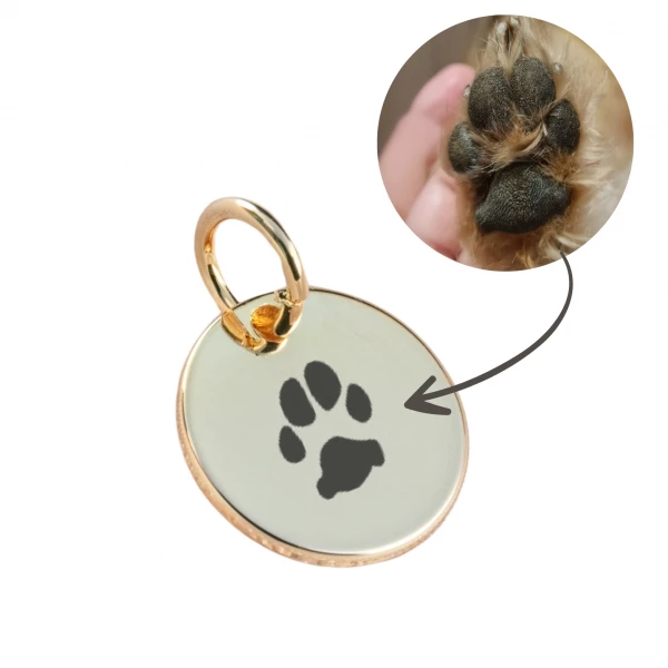Pingente com PATINHA DO PET para colar - Redondo Dourado